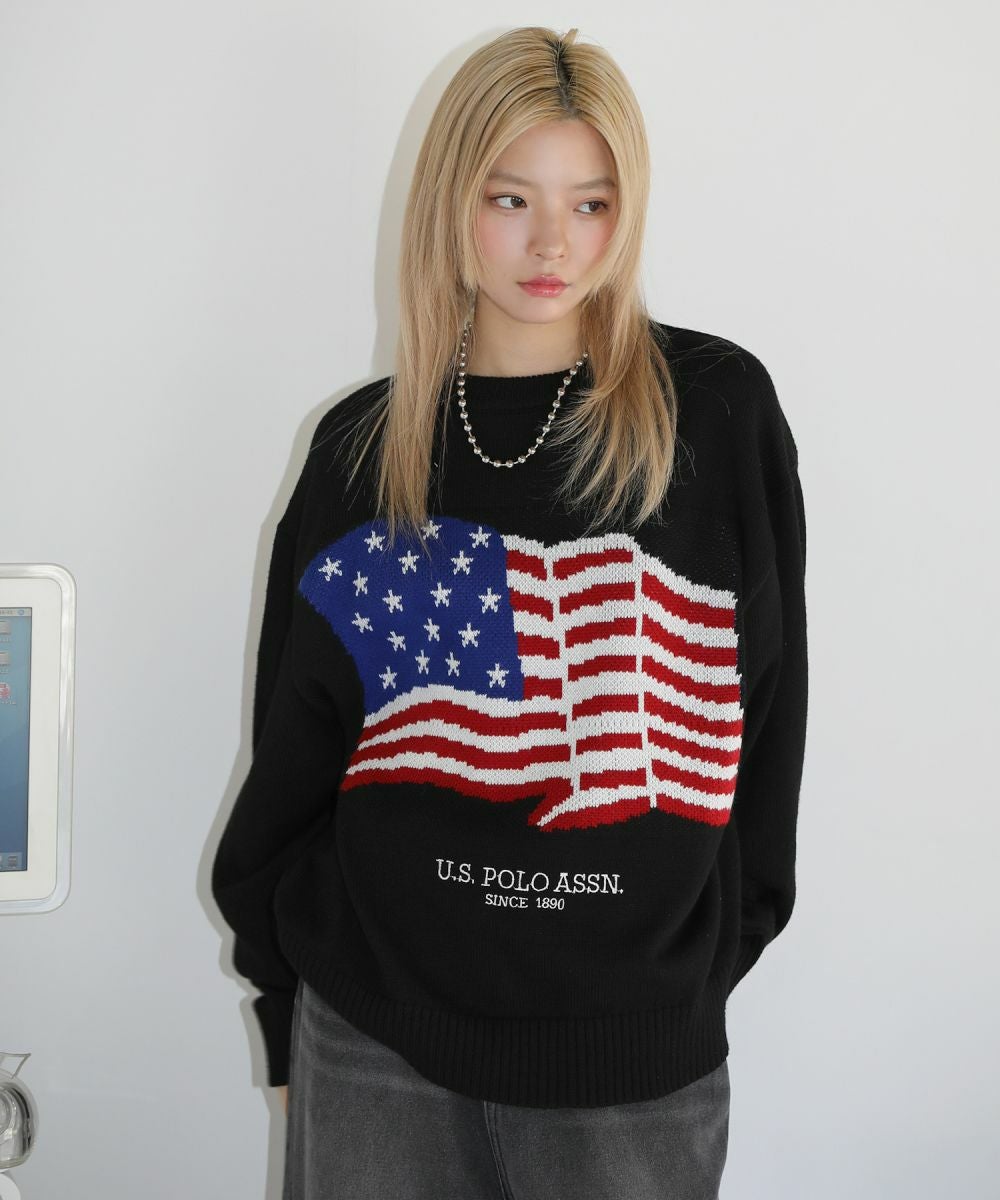 ほ*q様 ポロシャツ 黒 アメリカ国旗 デザイン POLO ラルフローレン ポロシャツ アメリカ国旗デザイン Lサイズ
